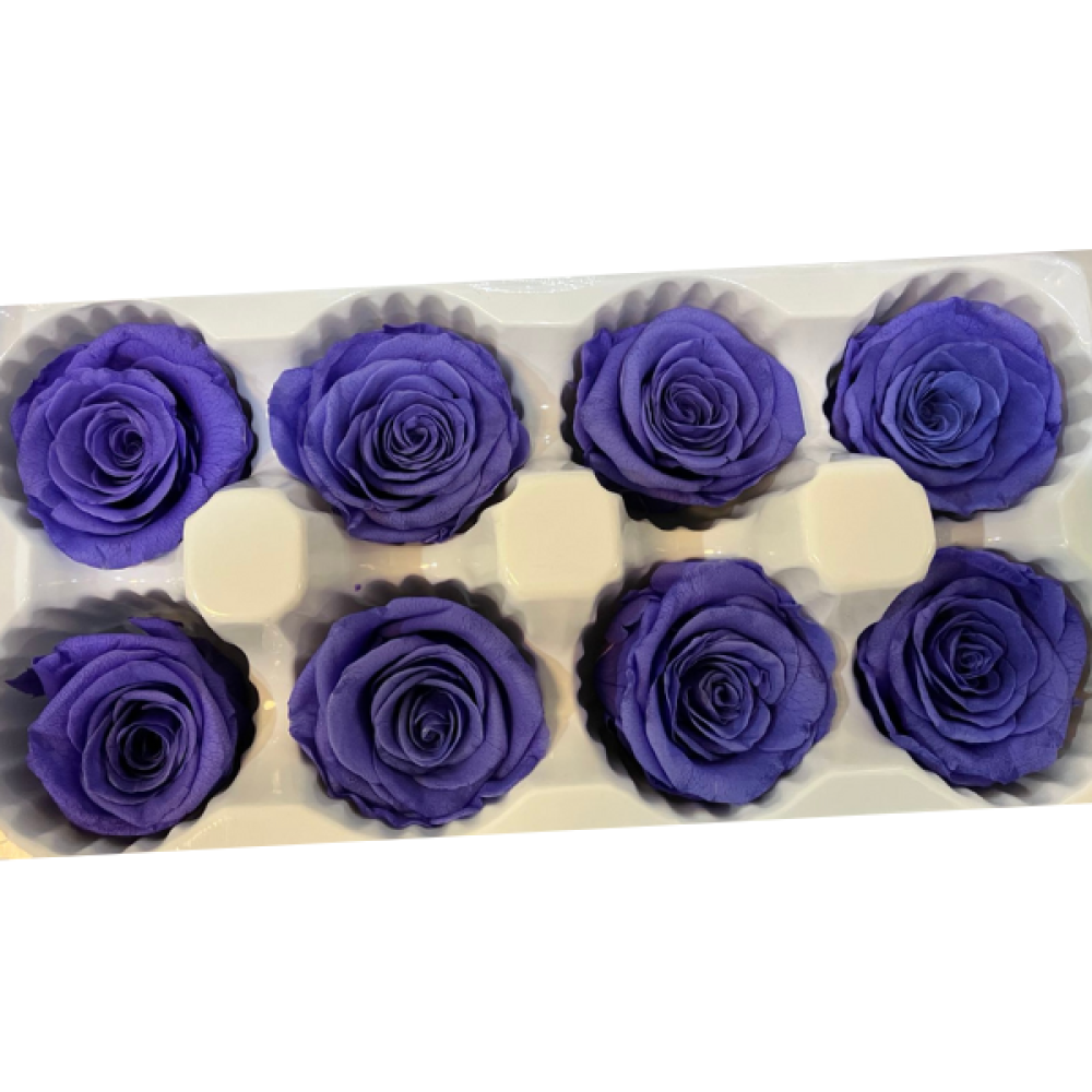 Long Lasting Roses | Preserved Roses Wholesale